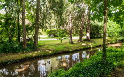Ici, la nature n’est pas un décor.